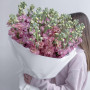 19 малиновых маттиол